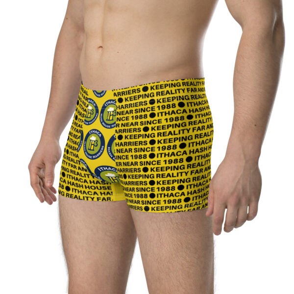 IH3 | Limited Edition Kicky Dick Shorts - Image 3