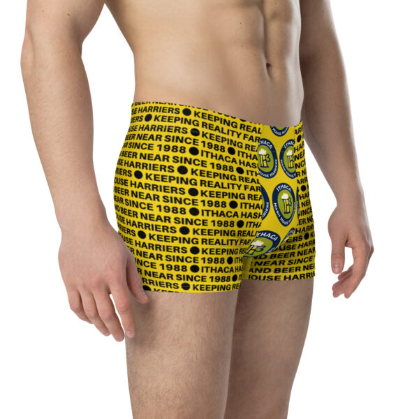 IH3 | Limited Edition Kicky Dick Shorts - Image 5